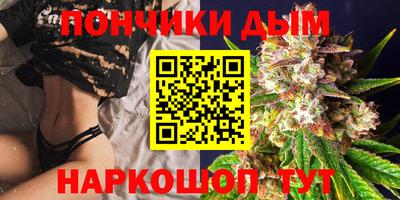 гидра Можга