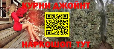 гидра Можга