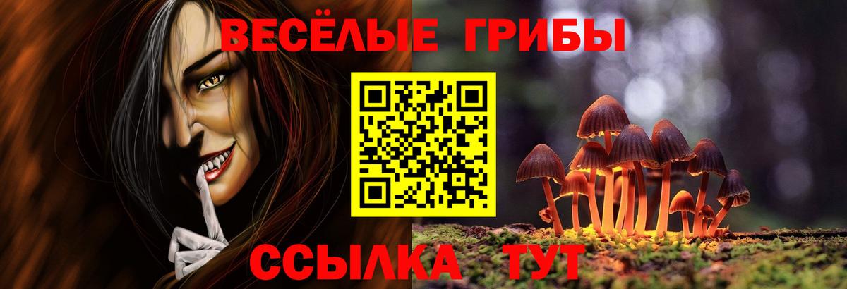 Галлюциногенные грибы Magic Shrooms  Вход с VPN  Шарыпово  Галлюциногенные грибы Psilocybine cubensis 
